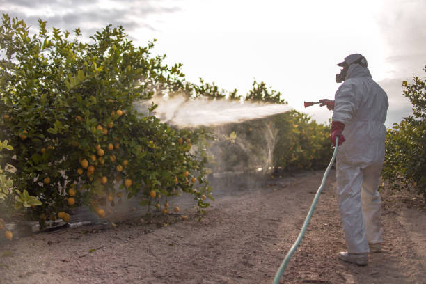 Best Affordable Pest Control Services  in River Bend, NC