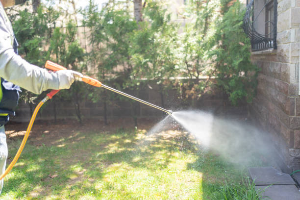 Best Spider Control Near Me  in River Bend, NC