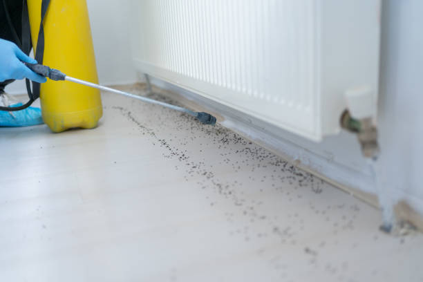 Best Wildlife Control Services  in River Bend, NC